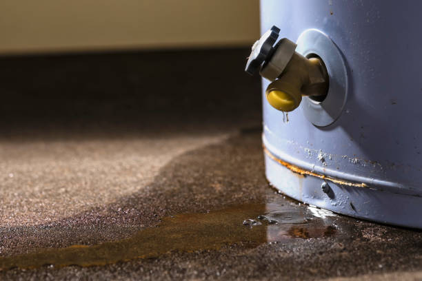 Best Flood restoration services  in Chevy Chase View, MD