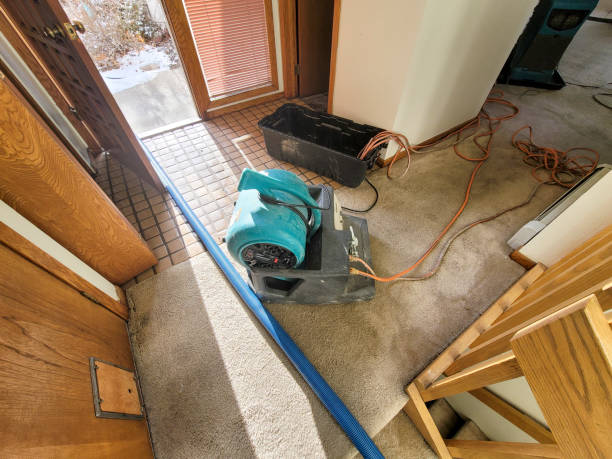 Best Water damage cleanup near me  in Chevy Chase View, MD
