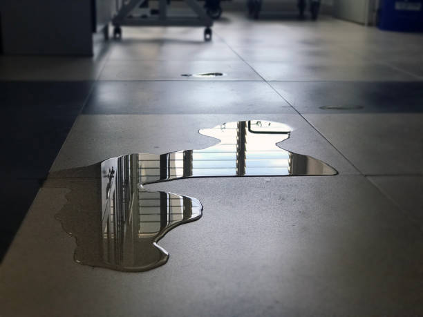 Best Water damage restoration near me  in Chevy Chase View, MD