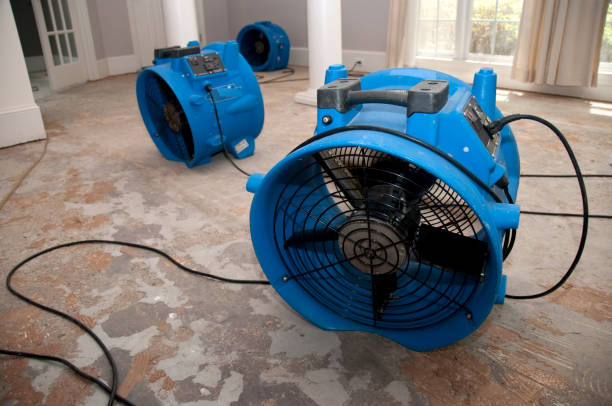 Best Professional water damage repair  in Chevy Chase View, MD