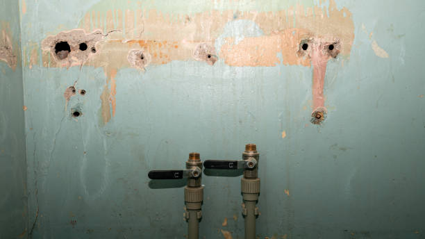 Best Flood damage cleanup  in Chevy Chase View, MD
