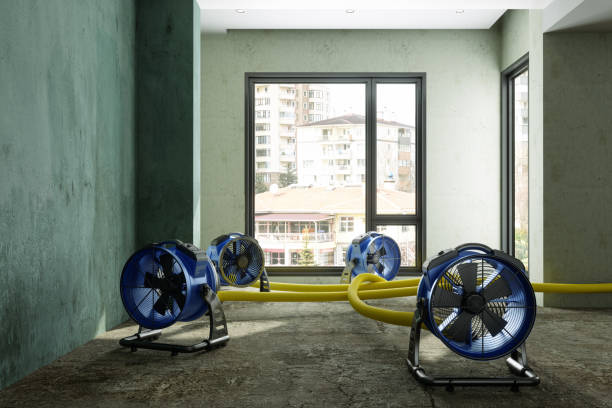  Chevy Chase View, MD Water damage restoration Pros